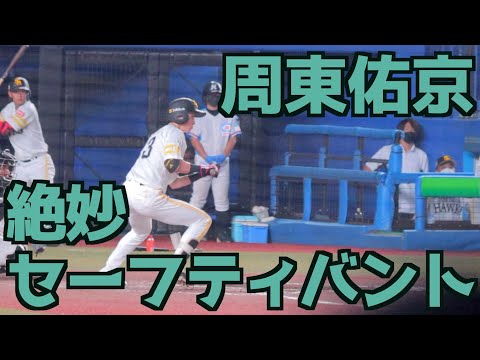 周東佑京の絶妙セーフティバント【ソフトバンクホークス】