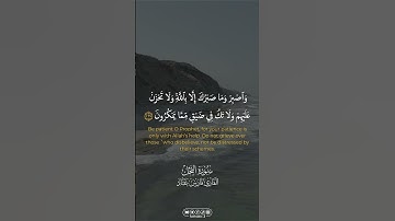 من سورة النحل || القارئ فارس عباد | #القرآن_الكريم #قرآن_كريم #القرآن #قرآن #quran #fyp #اكسبلور