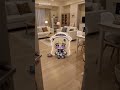 Phoebe welcomes you home. #cute #phoebe #wutheringwaves #funny #memes