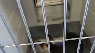 acs A663717
