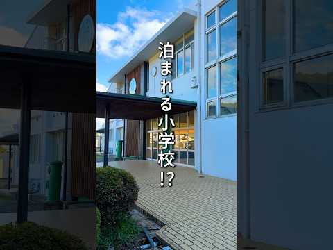 【飲み放題グランピング】泊まれる小学校が楽しすぎた #shorts