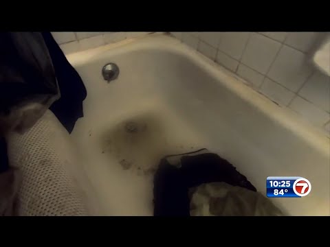Sewage seeps into