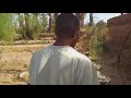 Oasis de Mhamid : Projet de plantation d'arbres 🌱