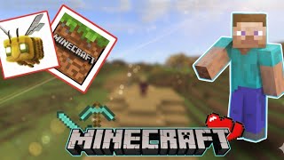 decoration for minecraft