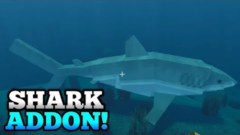 Shark Biology Addon | Minecraft PE Mods & Addons!