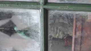 C0035