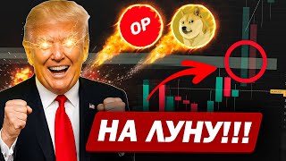 🚀 Эти 5 АЛЬТОВ могут дать ТВОИ ПЕРВЫЕ ИКСЫ в 2025!