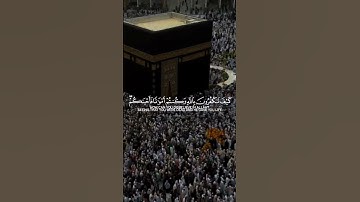 كيف تكفرون بالله - سورة #البقرة - القارئ الشيخ #محمد_حسين_عامر#Yemen #رمضان #صنعاء #اليمن #القران