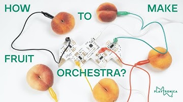 Make a track yourself or sing a song along with your fruits and Playtronica devices