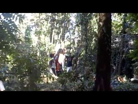 Alma Cautiva NGO Cleaning the land for dental clin...
