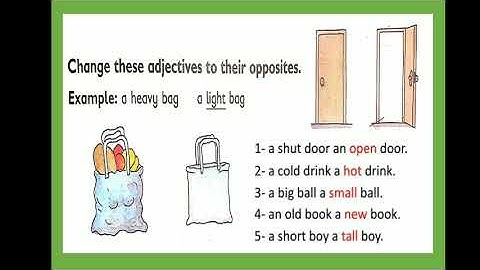 Metropolitan School June Session 2 Class 2 English Lesson