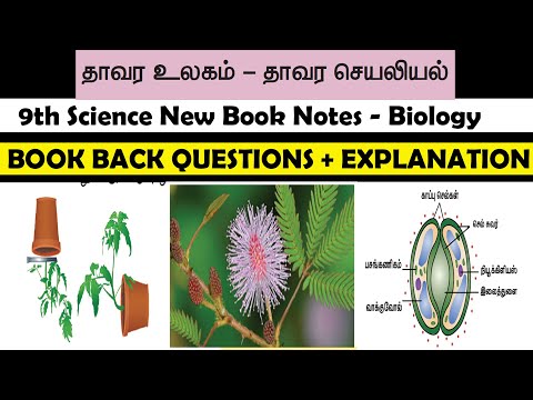 தாவர உலகம் மற்றும் தாவர செயலியல் 9th new book science notes |thamizhanraj