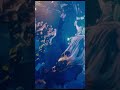 MAZE IDOL RIOT