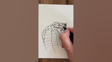 Snake Sketching 🐍/Drawing #drawing #art #sketch #shortvideo #viral #youtube #shortvideo #shorts