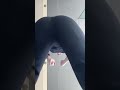 I love the view pee girl | i wanna sleep her ass #bodygoals #shorts