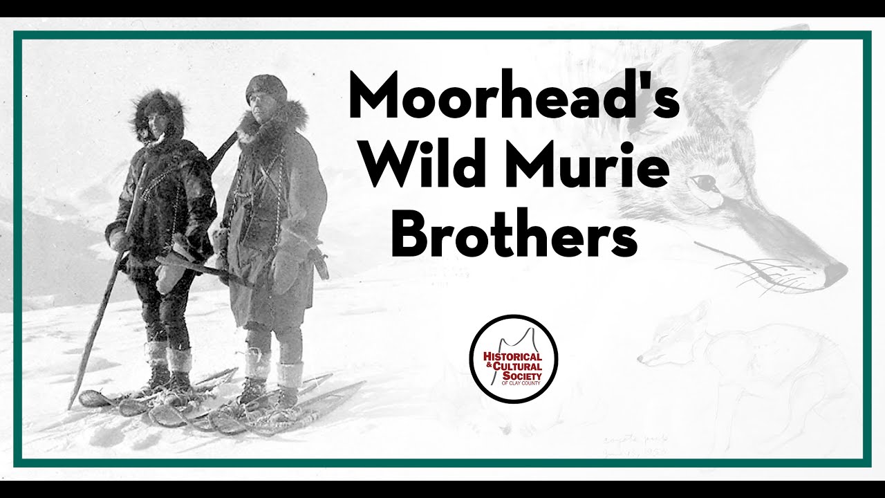 Moorhead's Wild Murie Brothers