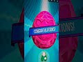 Playing Furby Boom App With Furby Boom Crystal In 