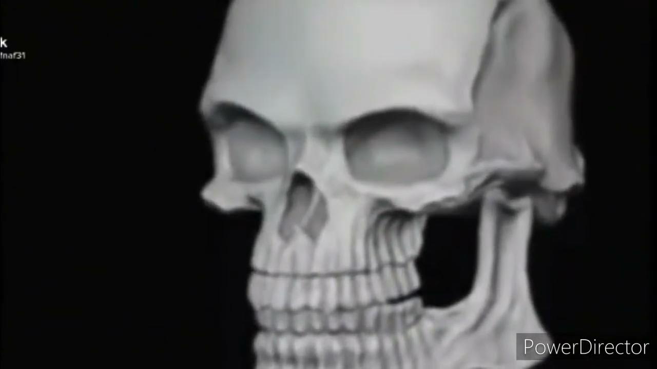 Череп улыбается мем. Череп крутится мем. Череп улыбается мем. Ухмыляющийся череп мем. Череп мем.