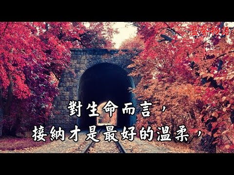【溫馨物語】對生命而言，接納是最好的溫柔！