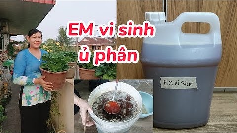 Chia sẻ cách làm chế phẩm EM1 và EM vi sinh ủ phân hữu cơ tại nhà