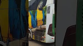 Eucatur 4820#onibus #marcopolo #eucatur #volvo #viagem #shorts #luxo