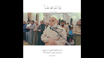 ما تيسر من سورة آل عمران     #المصحف #القرآن_الكريم #اكسبلور #الحًسكة #دويتو #الرحمن #لايك #الصلاة