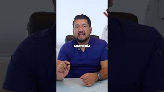 ¡ALERTA ARDOR! Agruras Constantes: La VERDAD Oculta Detrás Y Cómo ELIMINARLAS Para Siempre ¡Urgente!