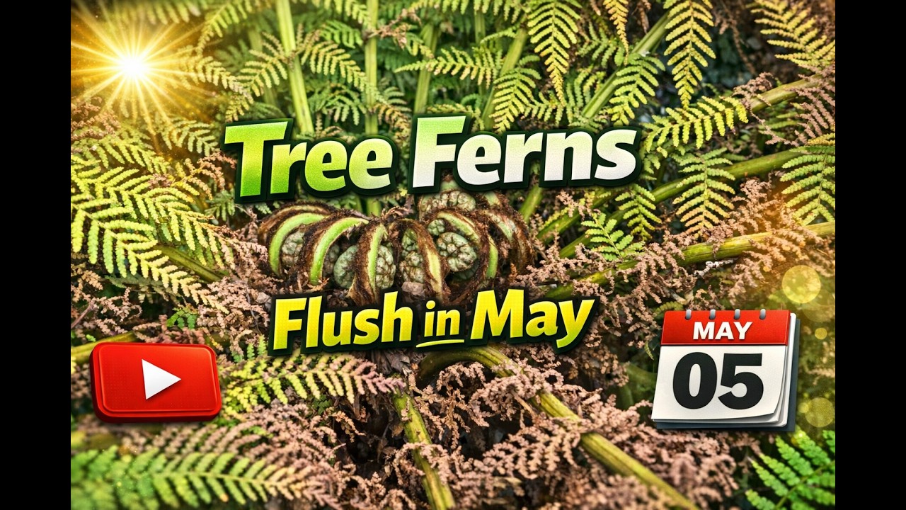 Get Ready for May 2026