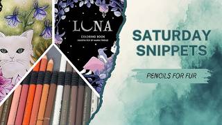 Saturday Snippets 63 - Picking pencils for coloring fur