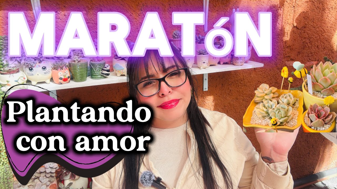 MARATON DE SUCULENTAS | PLANTANDO CON AMOR