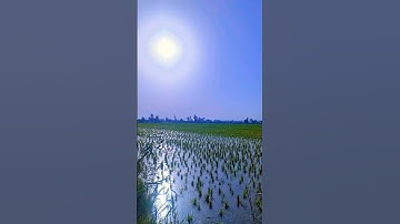 #سورة_الإخلاص #قرآن #ikhlas #egzonibrahimi #لايك #اكسبلور