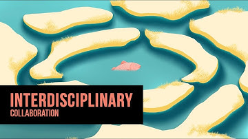 Interdisciplinary collaboration in ECI