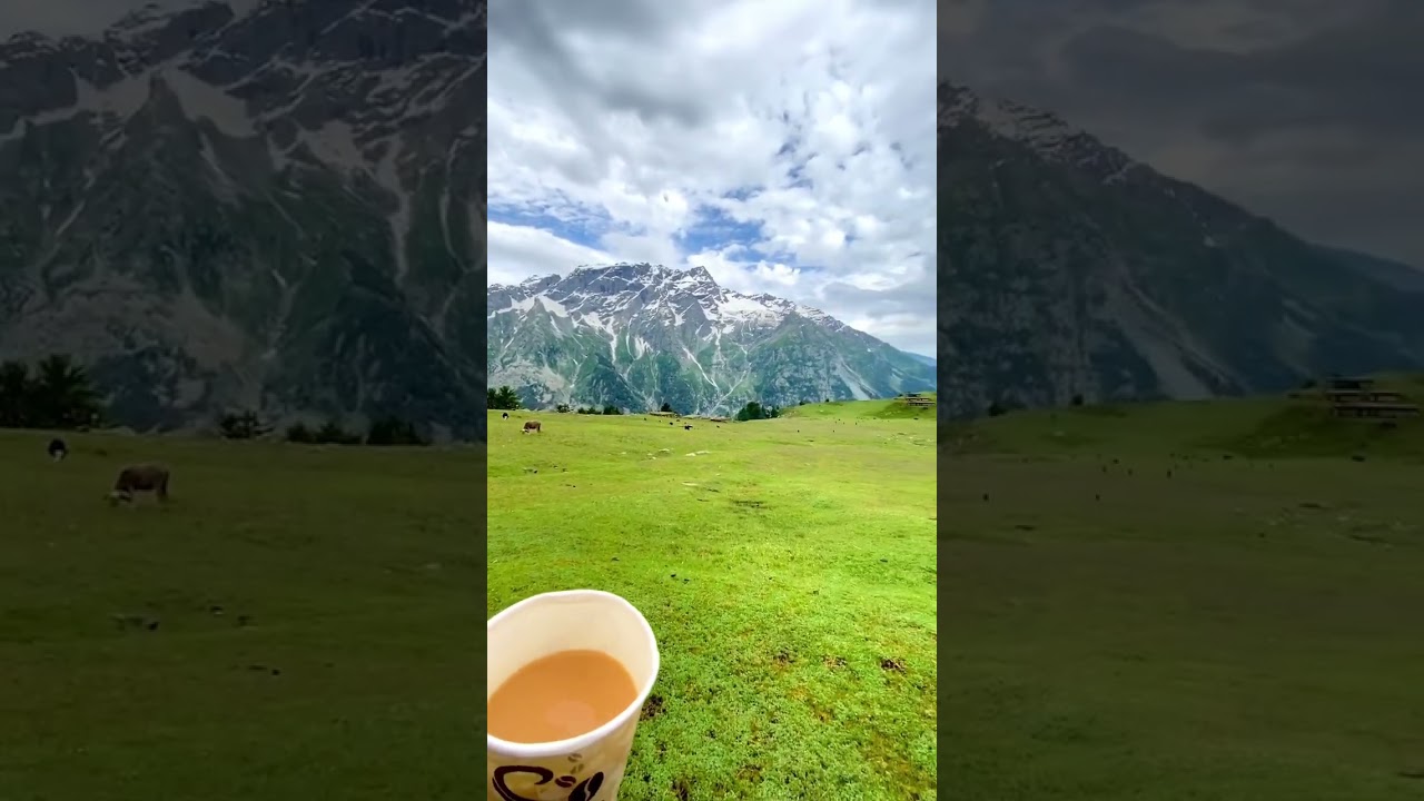 Chukail Meadows Kalam | Tea + View 