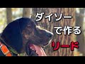 猟犬のリードをダイソーで作る！