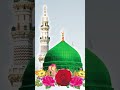 paikar Dil Ruba Ban Kar Aya Beshak #shortsviral Subhan Allah Beloved Madinah