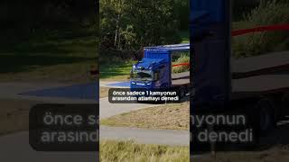 Bu Çılgın Gösteriden Red Bull Pro Bile Korktu