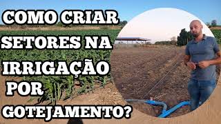 Como PLANEJAR e criar SETORES na sua irrigação por GOTEJAMENTO!