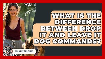 What Is The Difference Between Drop It And Leave It Dog Commands? - Obedient Dog Guide