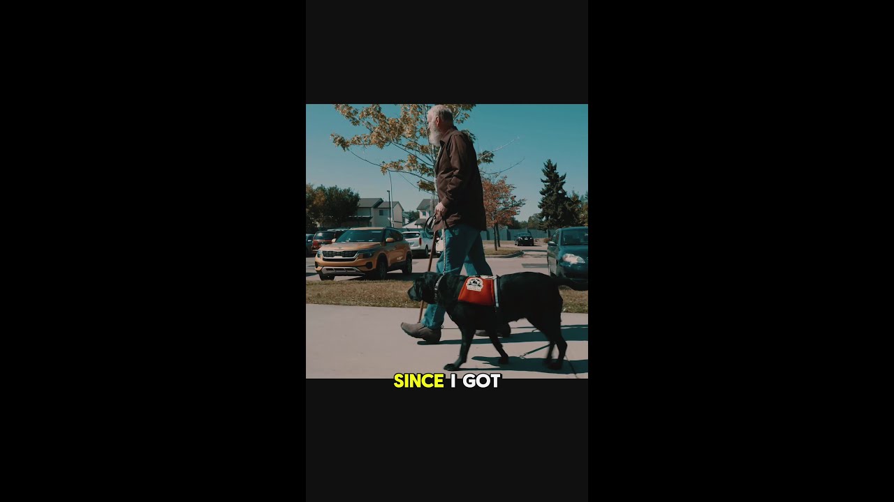 The Life-Changing Bond of a Service Dog