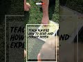 Teach players how to read and exploit defensive rotations to create scoring opportunity for them