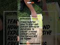 Teach players how to read and exploit defensive rotations to create scoring opportunity for them