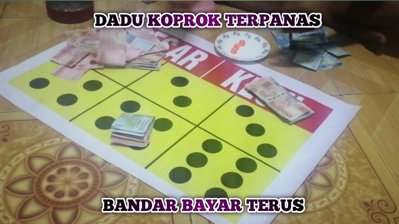 bandar dadu koprok