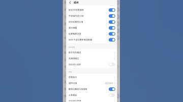 How to change Amap language to English