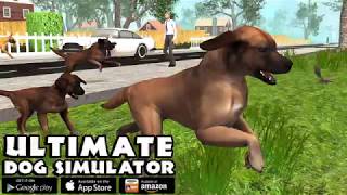 Ultimate Dog Simulator: Game Trailer for iOS and Android screenshot 4