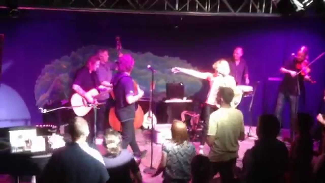 zydeco-annie-the-swamp-cats-youtube