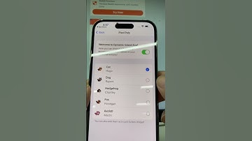 Now I can browse Reddit with a little cat Islander #shorts