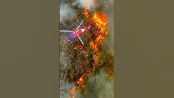 Thumbnail of Helikopter penyelamat Air!  #shorts #tayobahasaindonesia #TayoBusKecil