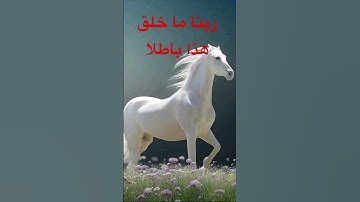 قران #explore #اكسبلور #تعليم #شعر #تيك_توك #مصر #السنة #ترند #لايك #دويتو #آيات