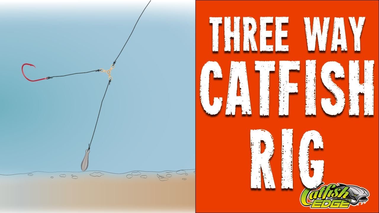 Two Hook Rig or Double Hook Rig (Double Snell) [Catfishing Quick Tip] 