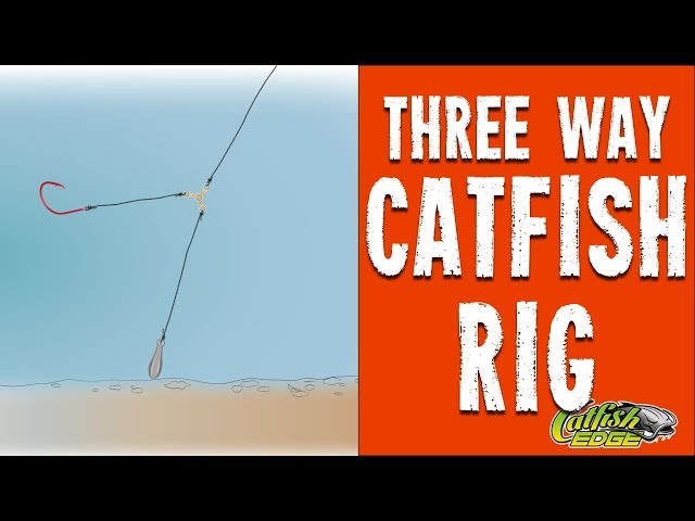 3 Way Rig* - Three Way Rig *Catfish Rigs* 